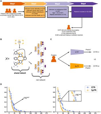 Individualized survival prediction and surgery recommendation for patients with glioblastoma